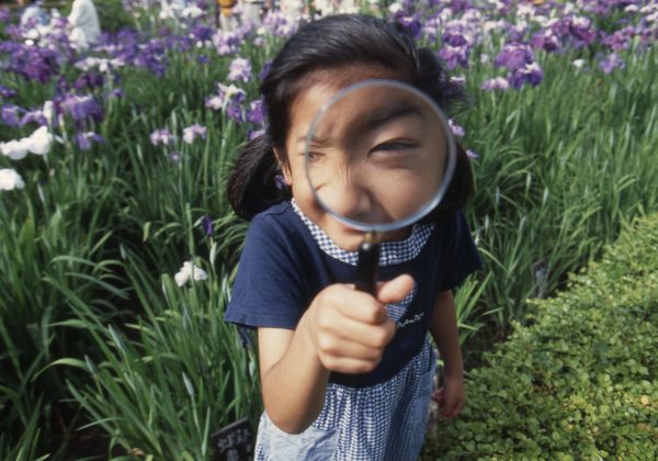 子ども社会見学